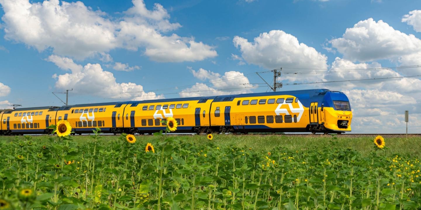 NS
